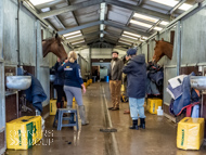 AK060423-85 - Alan King Stable Visit